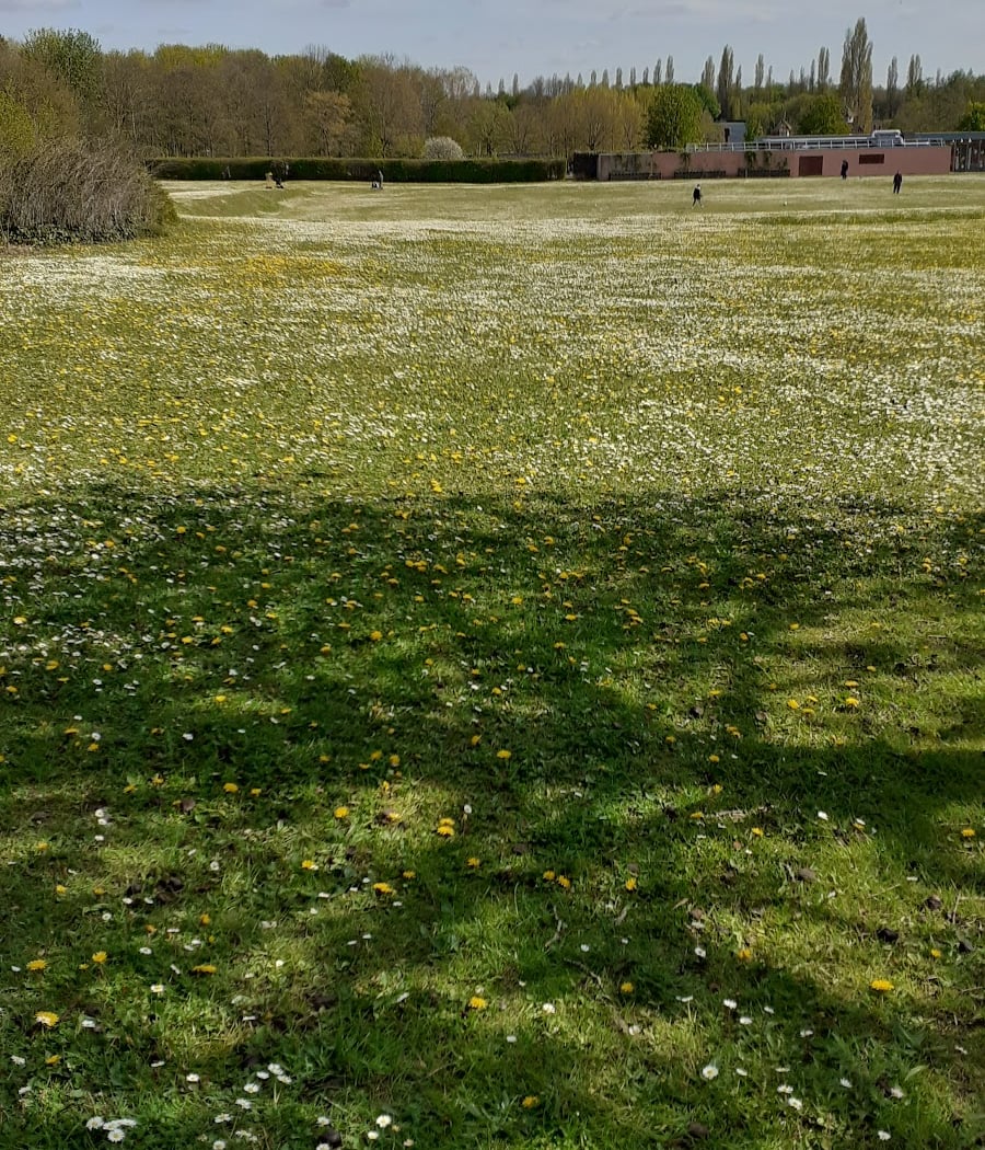 Centre technique du parc départemantal du Sausset 2